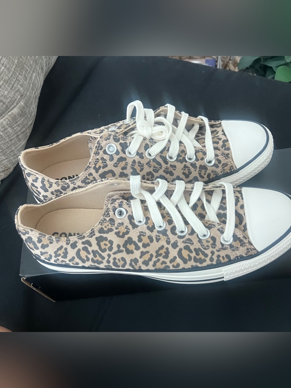 Converse Leopard Print Low-Top Sneakers in Tan and Black